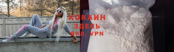спиды Новозыбков