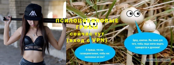 mdpv Нязепетровск