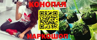 стаф Гусев