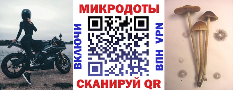 Псилоцибиновые грибы Cubensis  сайты даркнета формула  Татарск  хочу наркоту 