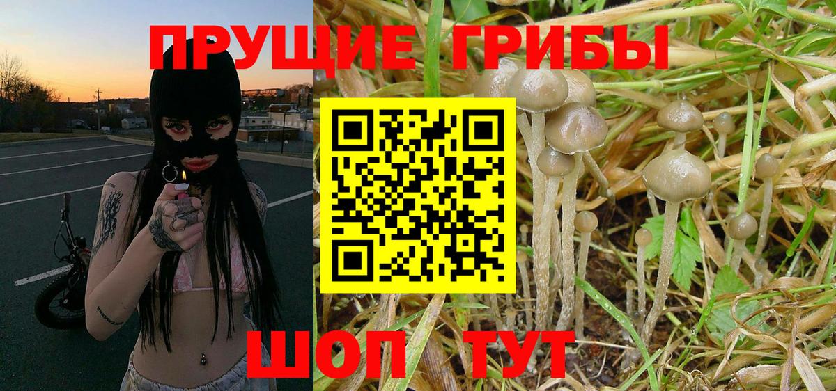 Псилоцибиновые грибы мухоморы  Вход с VPN  Псилоцибиновые грибы Cubensis  Татарск 