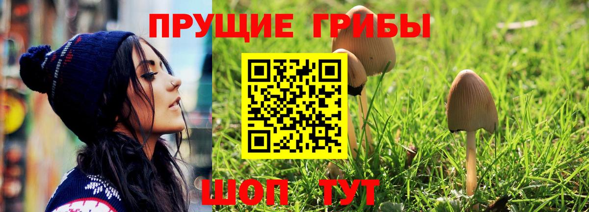 Галлюциногенные грибы мухоморы Татарск