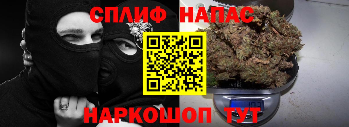 Канабис сатива Татарск